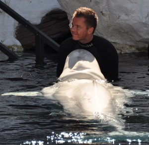 Dette er godt nok et billede af et møde med en rigtig balugahval. Denne gang var der tale om Andrew 'Balugawhale" Seidman".